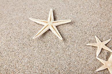 《Oddsparks》1月16日发布Steam试玩 古怪创意制作工坊